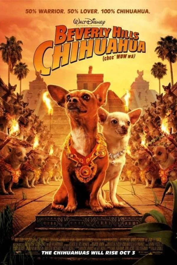Le chihuahua de Beverly Hills Poster