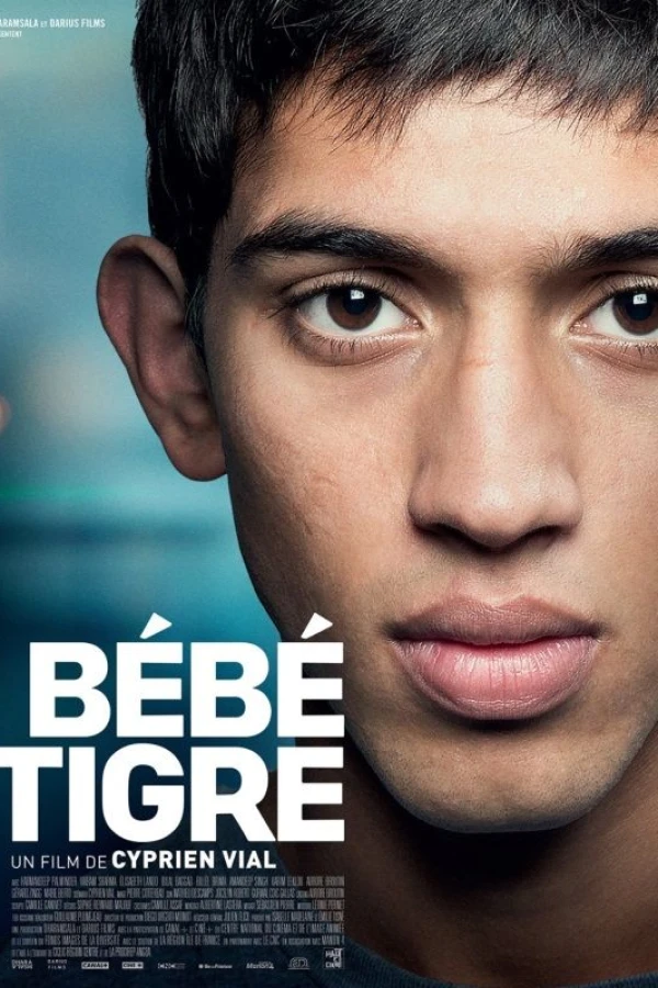 Young Tiger Affiche
